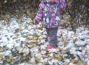 IMG_20170109_161333