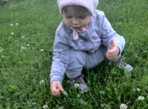 IMG_20170610_124649
