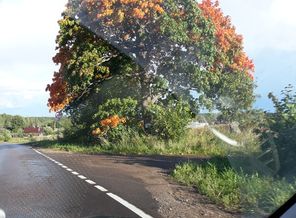 20170916_165101