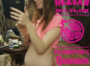 malyshi_image_15056798001