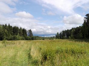 IMG_20170824_123307.jpg