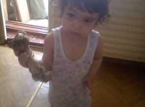 IMG_20170722_140857