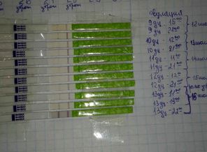 IMG-20170716-WA0004