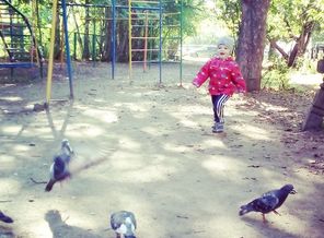 IMG_20170901_103237_290