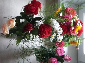 IMG-20170901-WA0010
