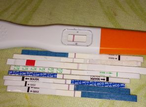 IMG-20171204-WA0002