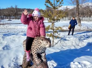 IMG_20170401_141722 1