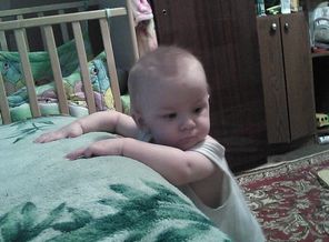IMG-6e97190a2506c717dd24dd8699e5e93b-V
