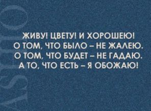 004d9a66464a22249f1a24f7503a7fc9e38.310