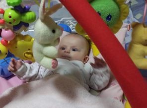 IMG-0ae4288c32e205200e4dd4bc73ff18d6-V