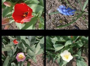 IMG_2017-04-17_15-29-19