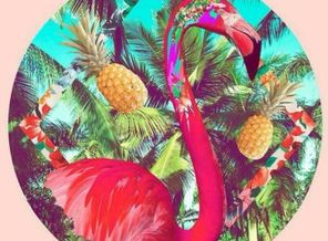 Аружан Кусманова_SUMMER !!!_YkRmQGNbcg