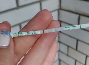IMG_20170610_062739
