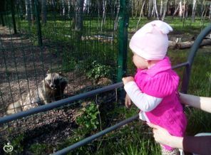 IMG_20170429_161517