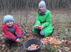 IMG_20171204_085806_2