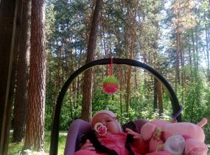 IMG_20170613_150929