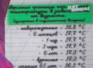IMG_20170715_075540