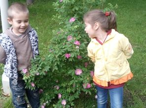 IMG_20170614_162031.jpg