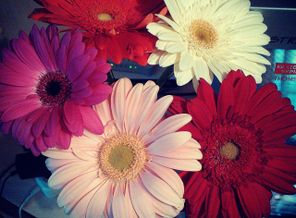 IMG_20171012_134348_510