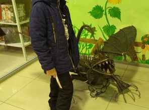 IMG_20171107_145726.jpg
