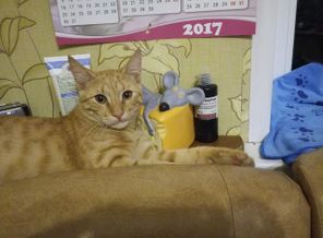 IMG_20170915_204914