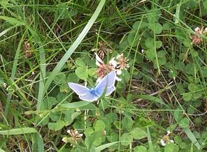 IMG_20170624_191659