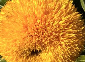 IMG_20170917_131850_HDR