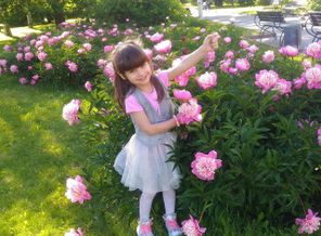 IMG_20171122_223742_41