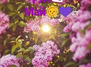 IMG_20170430_220402_935