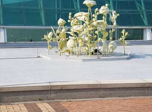 IMG_20170615_182840_971