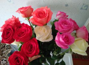 IMG_20170430_012847