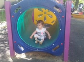 IMG_20170524_113146