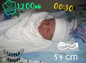 image-0-02-05-278ebbe3f073cf21a4e4f12f03ee503246c4279e5f4e5643c8b77c303ef430cb-V