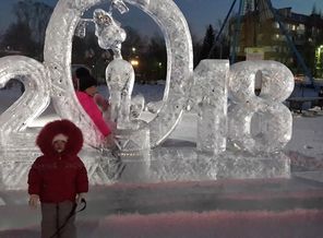 IMG_20171122_125204022
