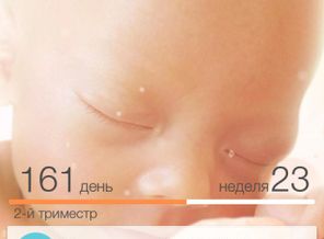 Screenshot_2017-06-21-12-28-25