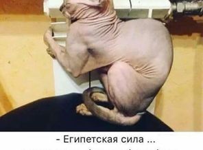 DLJtCyG_6js