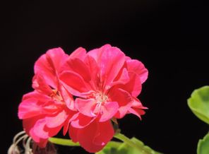 IMG_20170806_165116_11.jpg