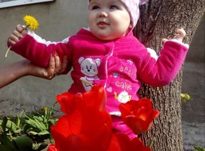 IMG_20170501_102555