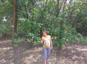 IMG_2017-06-17_155904