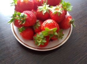 IMG_20170701_123856