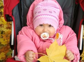 IMG_20171010_160604