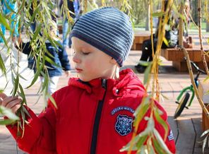IMG_20180123_125234_317.jpg