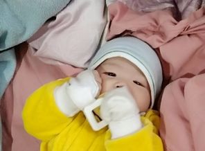 IMG-20180214-WA0020