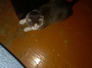 IMG_20180301_234831