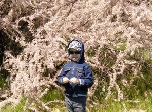 IMG_20170512_123023