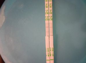 IMG_20171201_025342