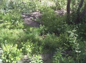 IMG_20170525_111136