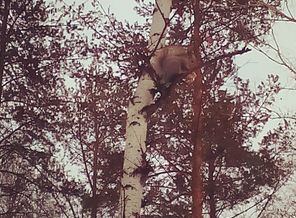 IMG_20171220_140108_623