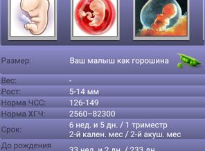 Screenshot_20170512-200651