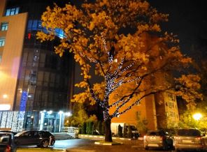 IMG_20171014_220755_277